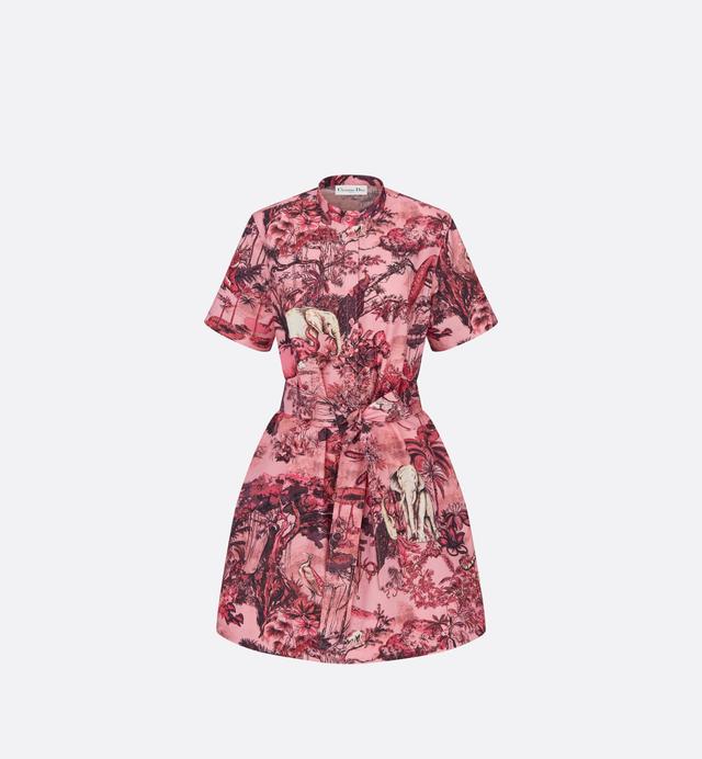 Belted Dress