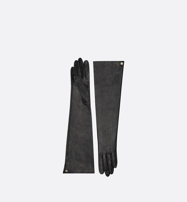 Dior Tribales Long Gloves