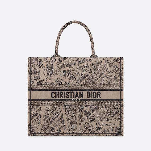 Large Dior Book Tote