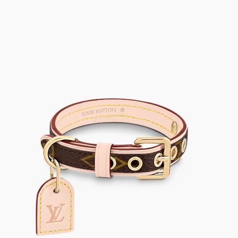 Collar XS