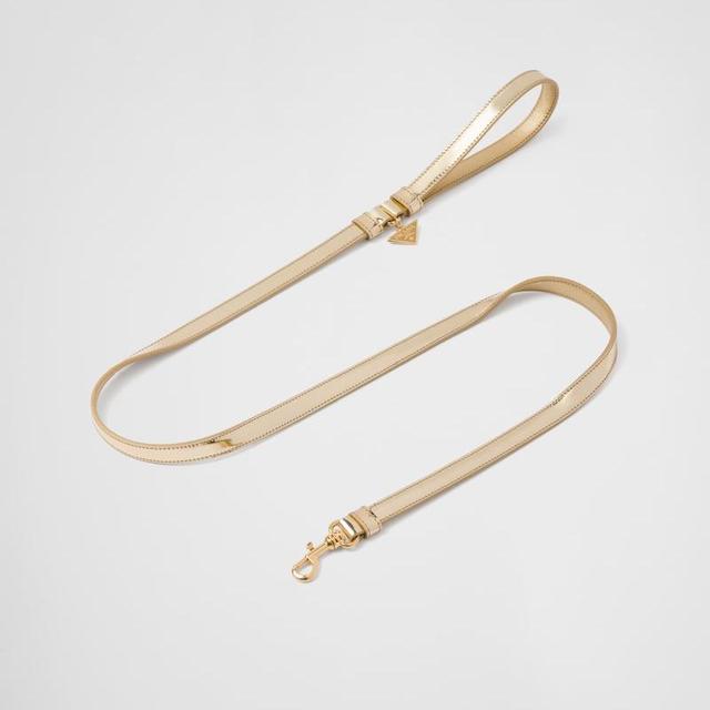 Brushed Leather Pet Leash
