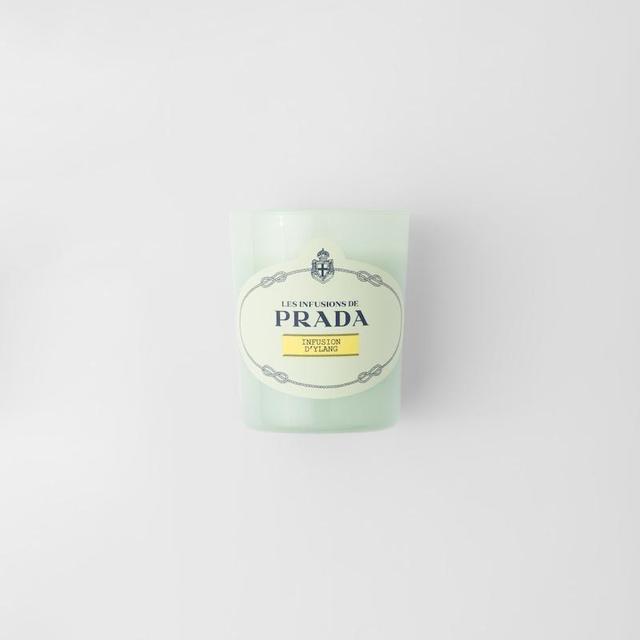 Infusion d'Ylang Candle
