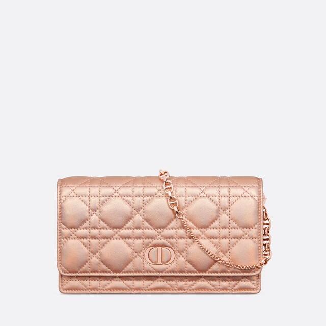 Dior or Dior Caro Pouch
