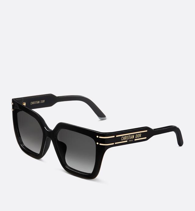 Diorsignature S10f