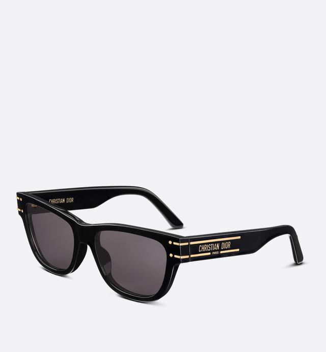 Diorsignature S6u