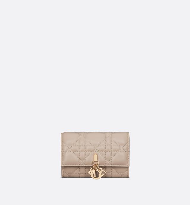 Miss Dior Xs Wallet