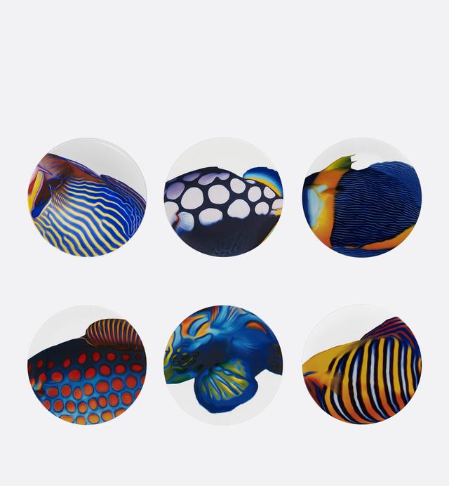 Set of 6 Decorative Plates
