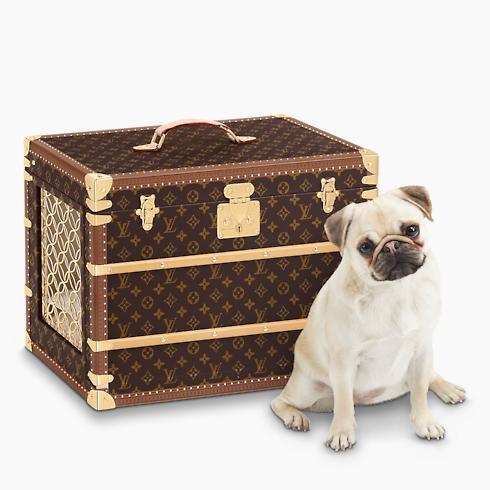 Malle Chien